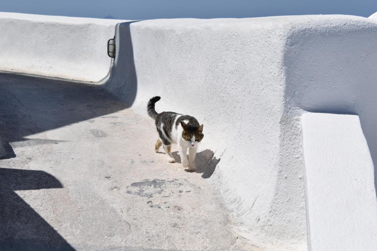 Mantilaria Fira (Santorini)